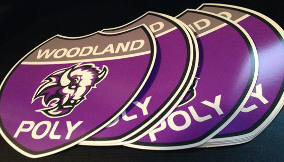 Die Cut Stickers
